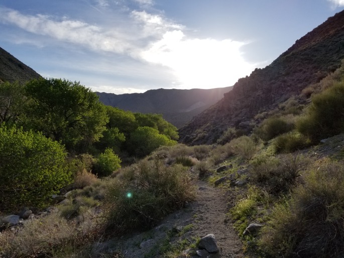 Death Valley 2018 Campsite